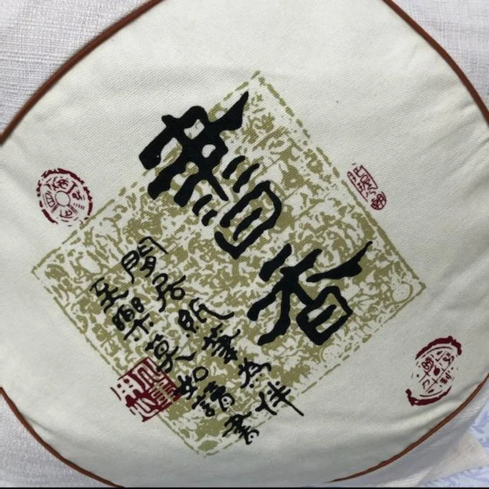 Asian Character Accent Pillow
